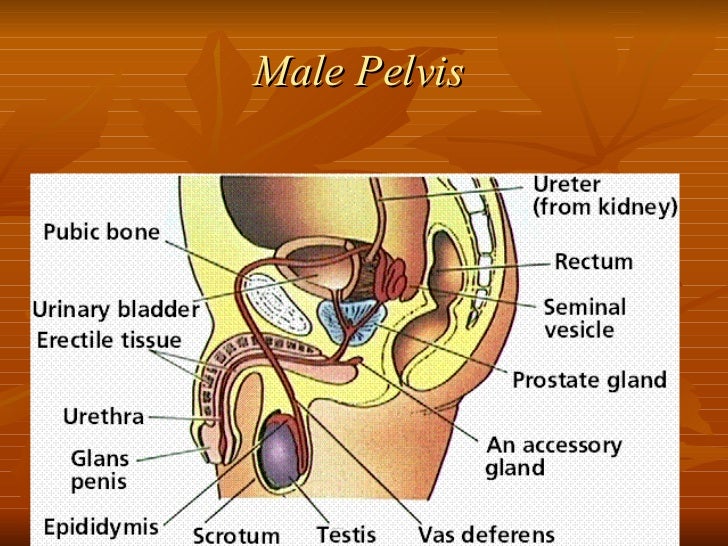 Sex Education Book In Marathi